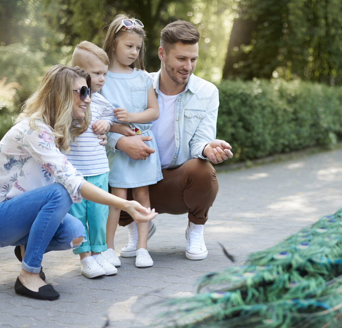 A family enjoying their time at the Griffith Park Zoo & Observatory