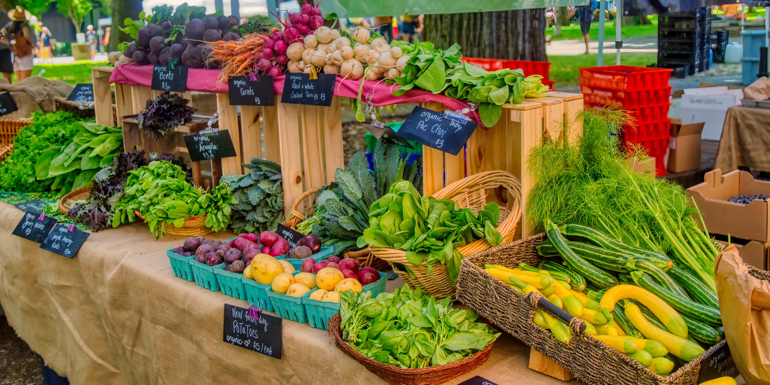 Fresh fruits and vegetables sitting on display at the Santa Monica Farmers Market